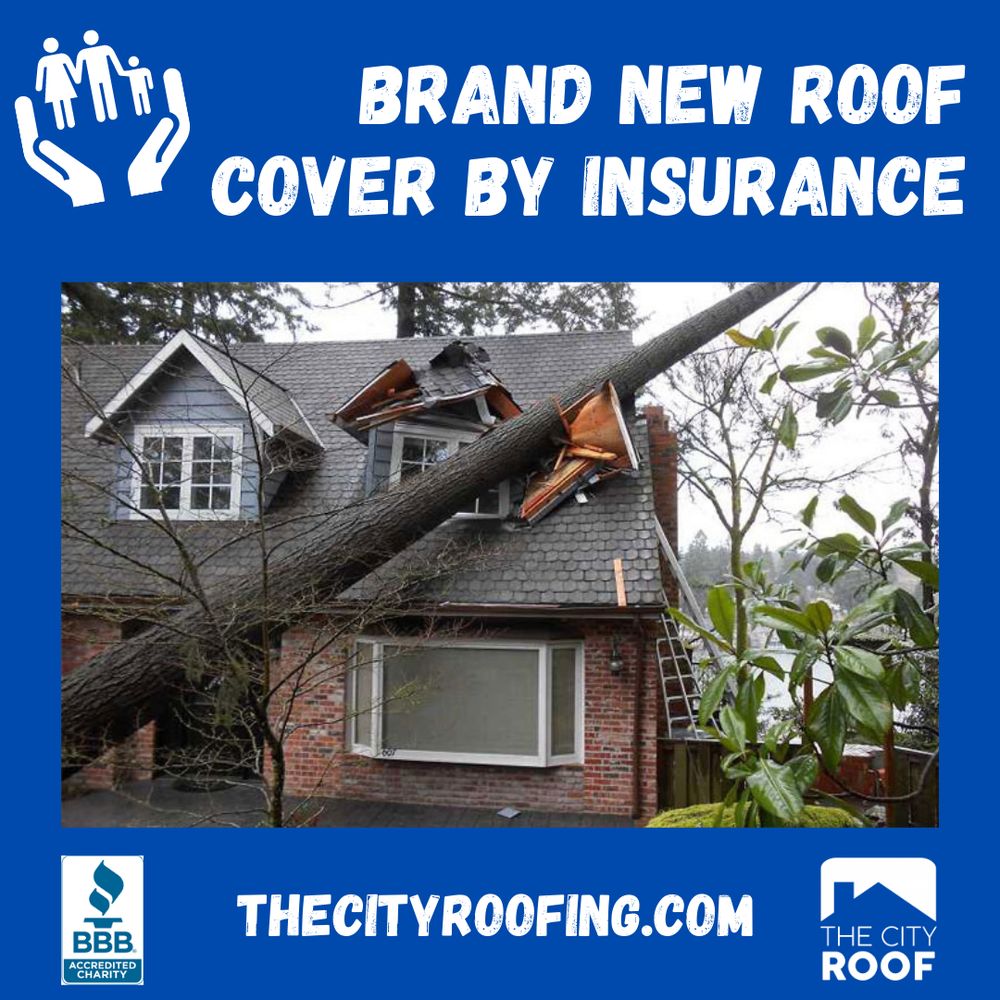 Slide of The City Roof