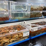99 RANCH MARKET - 674 Photos & 295 Reviews - Seafood Markets - 140 W ...