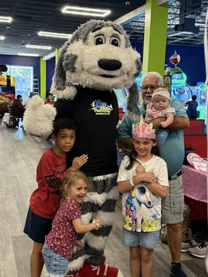 Off The Wall - NEW PORT RICHEY by null