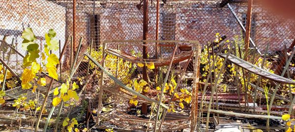 Old Joliet Prison by null