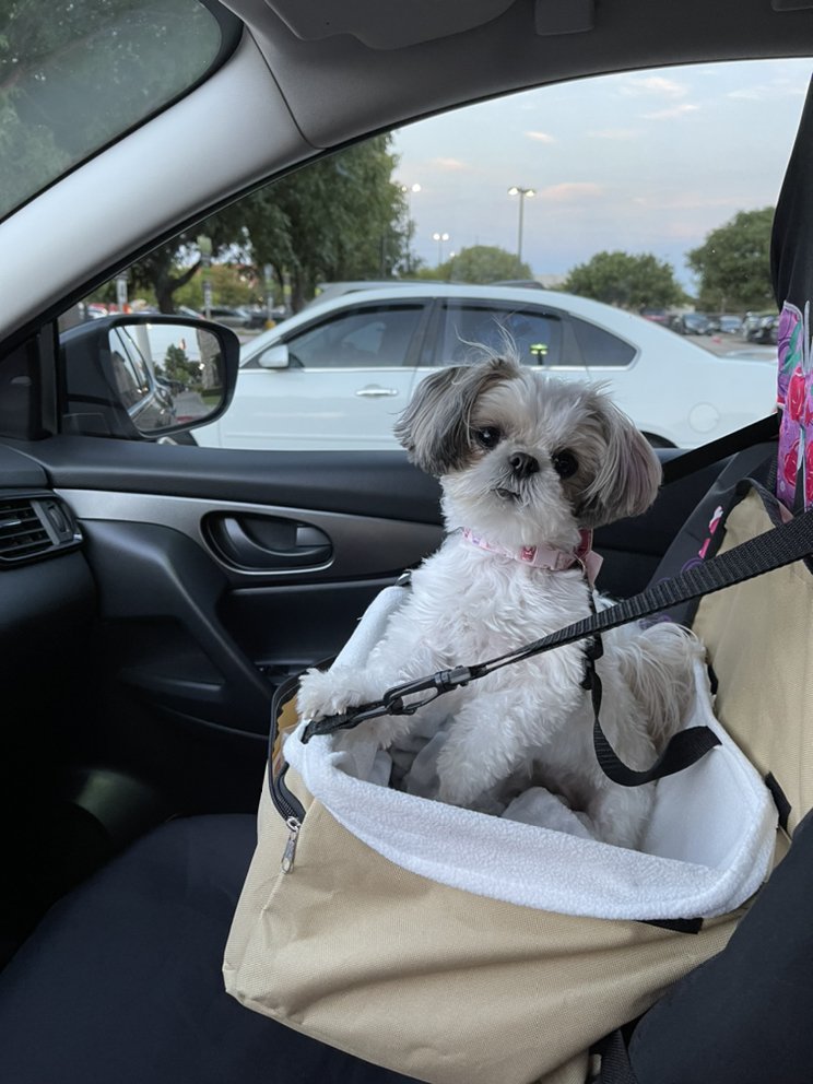 LIBERTY TAXI Updated September 2024 2200 Brown St, Waxahachie