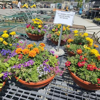 Sunshine Growers Nursery - Nurseries & Gardening Near Me - Eastvale, California Sunshine Growers Nursery - Nurseries & Gardening Near Me - Eastvale, California