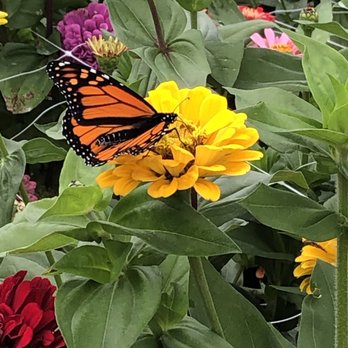 Parlee Farms - Farmers Market Near Me - Tyngsboro, Massachusetts