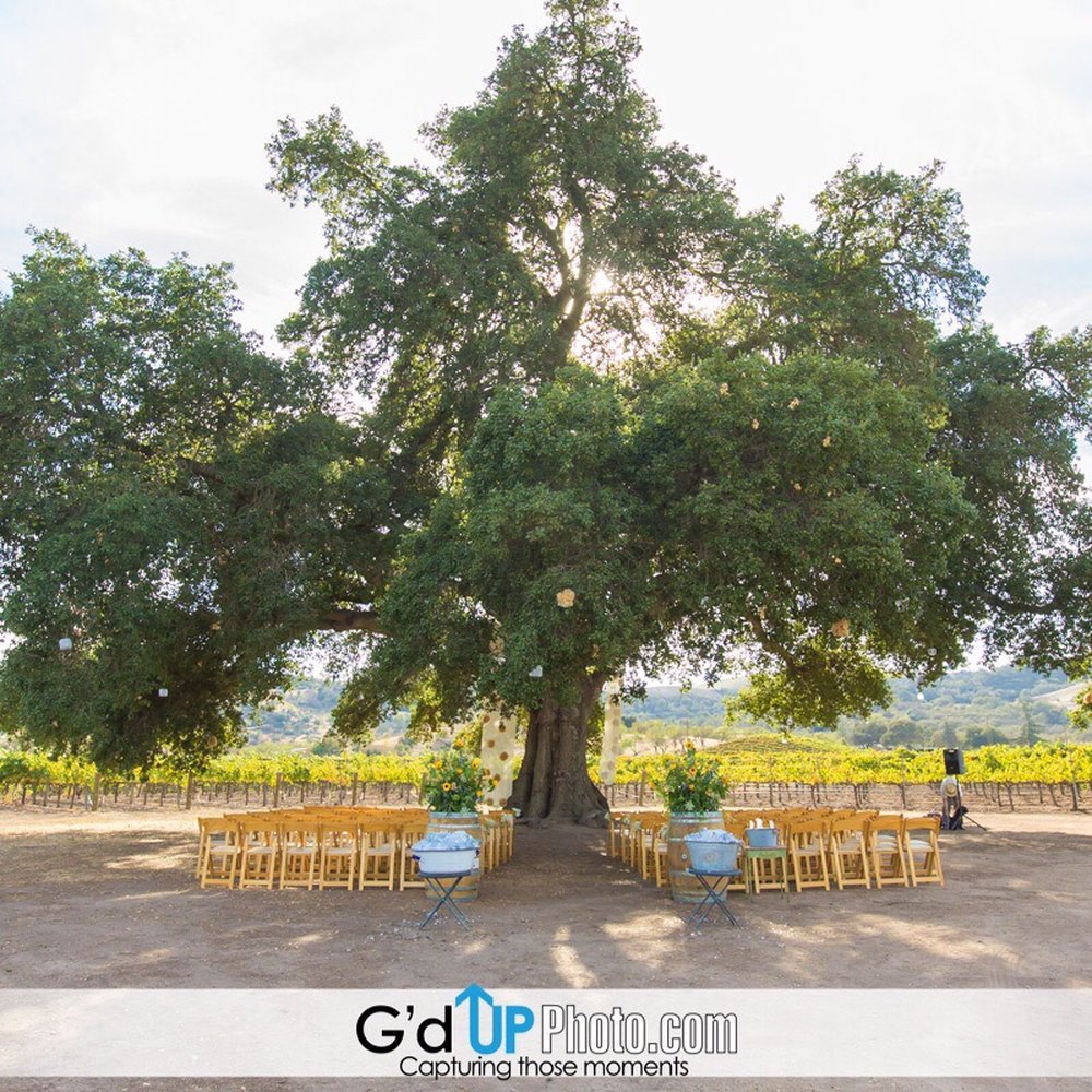 Vintage Ranch - Venues & Event Spaces Near Me - Paso Robles, California