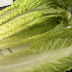 Oriental Express - Romaine lettuce for Lettuce Wraps