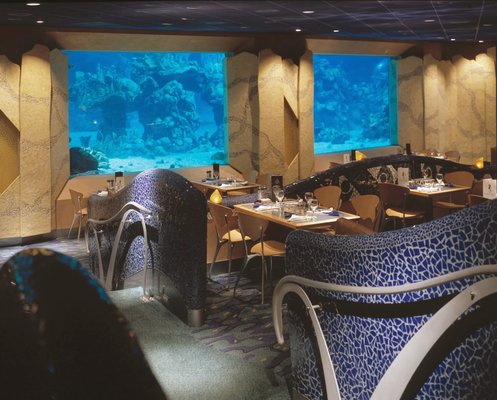 Coral Reef Restaurant by null