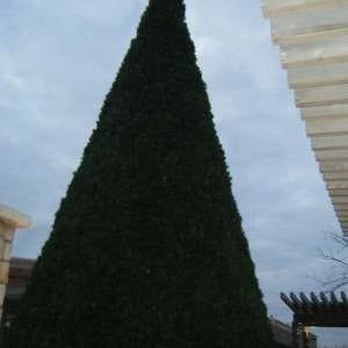 Buckle - Christmas Tree - Shopping Centers Near Me - Clinton Township, Michigan Buckle - Christmas Tree - Shopping Centers Near Me - Clinton Township, Michigan