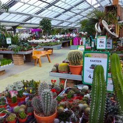 Tropica Raritäten - gärtnerei