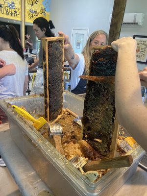 Two Hives Honey by null Two Hives Honey by null