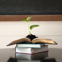 Education NW Resources