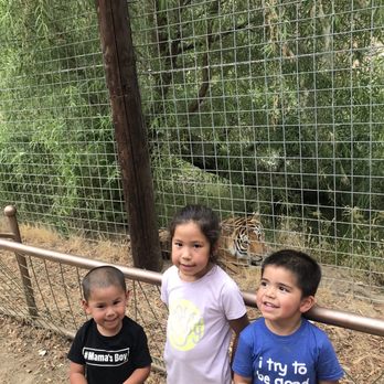 Project Survival's Cat Haven - Zoos Near Me - Dunlap, California