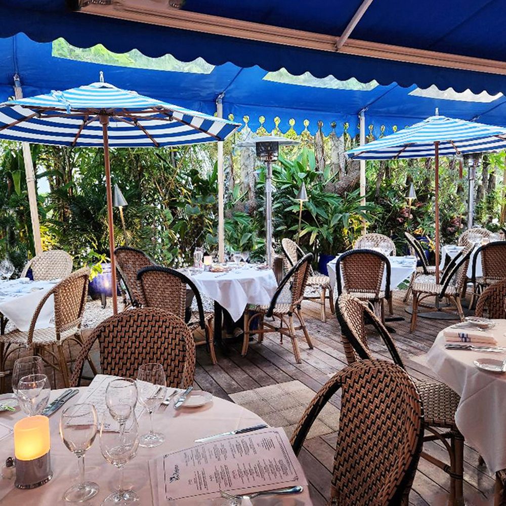 Bleu Provence - We sat in the garden, a beautiful al fresco atmosphere. - French Near Me - Naples, Florida