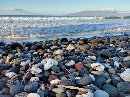 Puamana Community Association