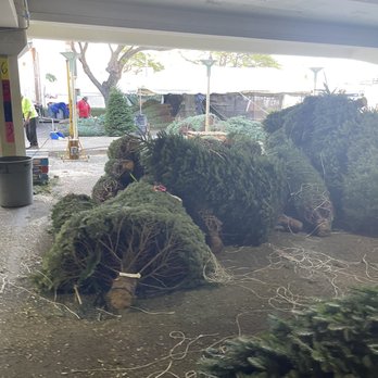 Richard Tajiri's Christmas Hawaii - 11/2022 trees - Christmas Trees Near Me - Honolulu, Hawaii Richard Tajiri's Christmas Hawaii - 11/2022 trees - Christmas Trees Near Me - Honolulu, Hawaii