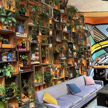 Hide & Seek - Coffee lounge - Bars Near Me - Brooklyn, New York