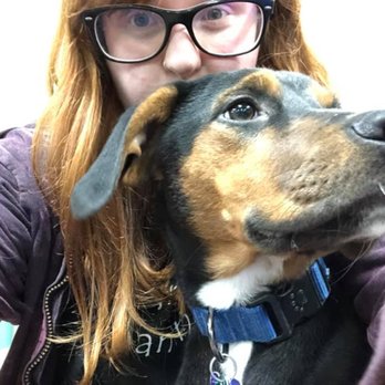 Puppywood - Anderson - selfies with my favorite Katelyn - Pet Sitting Near Me - Cincinnati, Ohio Puppywood - Anderson - selfies with my favorite Katelyn - Pet Sitting Near Me - Cincinnati, Ohio