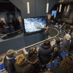 Océanopolis - Découvrez la biodiversité bretonne différemment au Minilab du pavillon Bretagne.