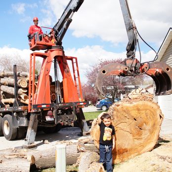 A Tree Company - Tree Services Near Me - Boise, Idaho