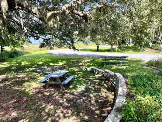 The Nature Conservancy's Disney Wilderness Preserve by null