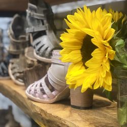 Freebird Stores - Cherry Creek
