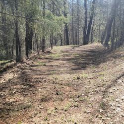 Lake Shasta Pines RV Park & Campground - My area