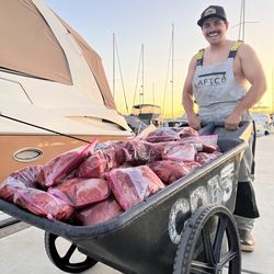 Outcast Sportfishing - 800lbs of fish