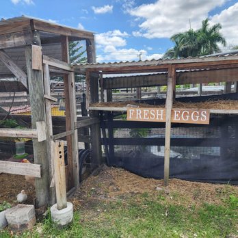 Marando Farms & Ranch - Farmers Market Near Me - Davie, Florida