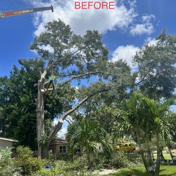 Technical Trees and Landscaping - Tree Services Near Me Technical Trees and Landscaping - Tree Services Near Me