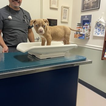 Stine Veterinary Hospital - Veterinarians Near Me - Bakersfield, California