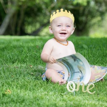 Davini Photography - Pet Photography Near Me Davini Photography - Pet Photography Near Me
