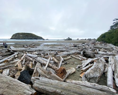 Harris Beach by null