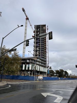 University of California San Diego by null