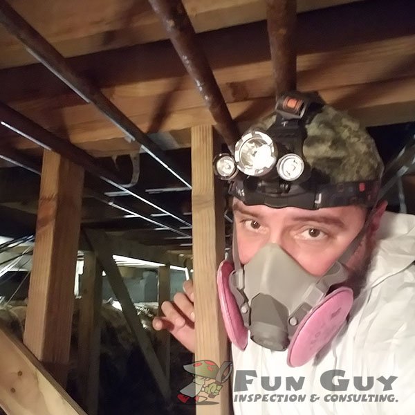 Fun Guy Inspection & Consulting - mold inspector in Chatsworth, CA