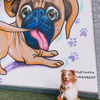 Pups Pub - Dog Parks Near Me - Tampa, Florida Pups Pub - Dog Parks Near Me - Tampa, Florida