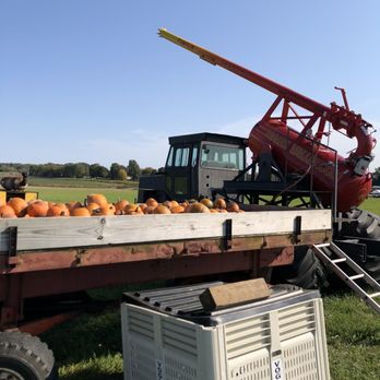 Maize Valley - Pumpkin shooter - Wineries Near Me - Hartville, Ohio Maize Valley - Pumpkin shooter - Wineries Near Me - Hartville, Ohio