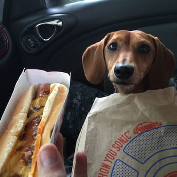 Sonic Drive-In - Chili cheese hot dog with my lovely wiener dog (dachshund) - Burgers Near Me - Hampton, Virginia Sonic Drive-In - Chili cheese hot dog with my lovely wiener dog (dachshund) - Burgers Near Me - Hampton, Virginia