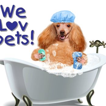 We Lov Pets - Pet Stores Near Me - Zanesville, Ohio We Lov Pets - Pet Stores Near Me - Zanesville, Ohio