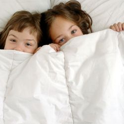 Kleinsleep - Chemical Free Mattresses for your Family
