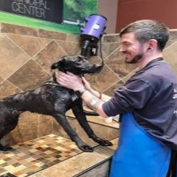 The Proper Pet - Pet Grooming Stations: Groom your pet at our pet grooming stations. Different size stations for all pet sizes. - Pet Stores Near Me - Tolland, Connecticut The Proper Pet - Pet Grooming Stations: Groom your pet at our pet grooming stations. Different size stations for all pet sizes. - Pet Stores Near Me - Tolland, Connecticut