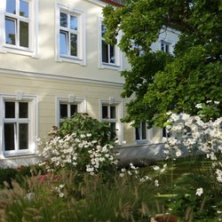 Pureyoga - Unser Studio in ruhigster Gartenanlage, mitten im Grünen, so lässt es sich fein üben und entspannen