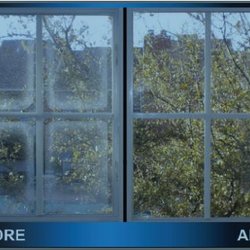 Arco Glass