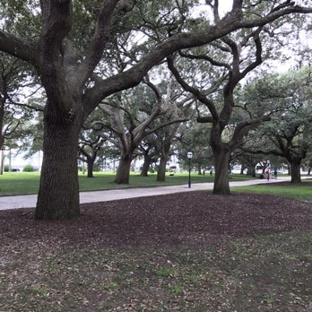 White Point Garden - Beautiful trees in the park. - Parks Near Me - Charleston, South Carolina White Point Garden - Beautiful trees in the park. - Parks Near Me - Charleston, South Carolina
