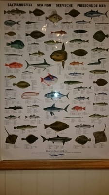 Menu photo 2 The Village Fish and Chips Orpington, XGL Menu photo 2 The Village Fish and Chips Orpington, XGL