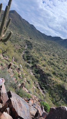 Lost Dog Wash Trailhead by null