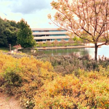Annabel Lake - View from the trail of Annabel Lake. - Lakes Near Me - San Ramon, California
