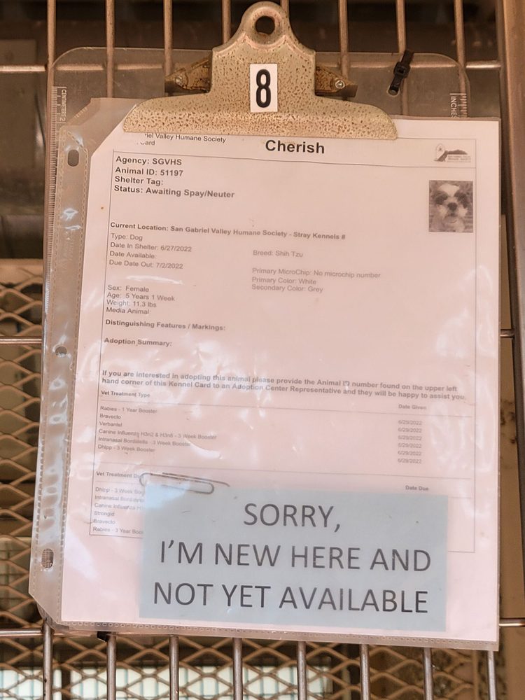 SAN GABRIEL VALLEY HUMANE SOCIETY Updated November 2024 140 Photos