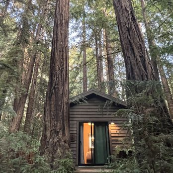 Glen Oaks Big Sur - The view from the outside of the cabin very secluded with a lot of trees around us - Hotels Near Me - Big Sur, California Glen Oaks Big Sur - The view from the outside of the cabin very secluded with a lot of trees around us - Hotels Near Me - Big Sur, California