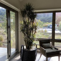 Design One Environments - Trunk Marginata