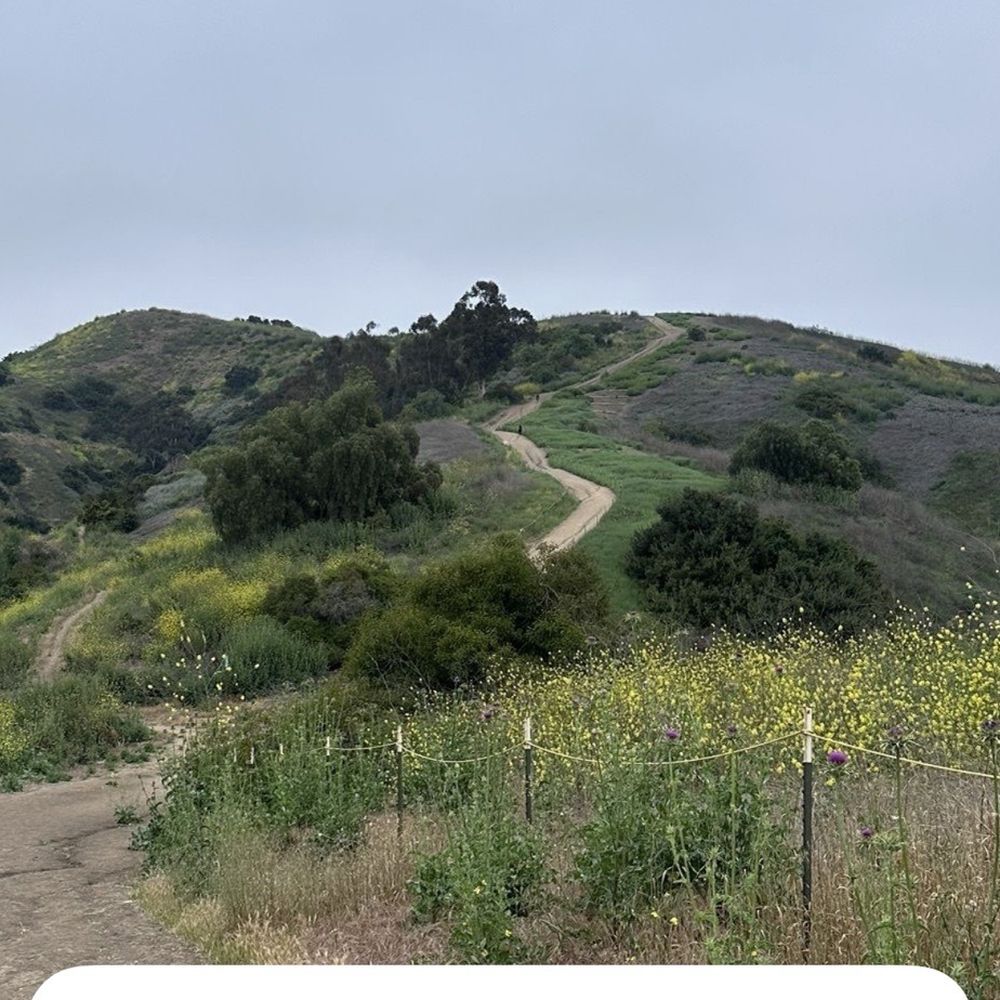 nike hill trail