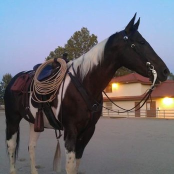 Robles Ranch Community Center - Nicholas Gray's horse Jae. Nicholas is great grandson to Bernabe Robles. - Community Centers Near Me - Tucson, Arizona Robles Ranch Community Center - Nicholas Gray's horse Jae. Nicholas is great grandson to Bernabe Robles. - Community Centers Near Me - Tucson, Arizona